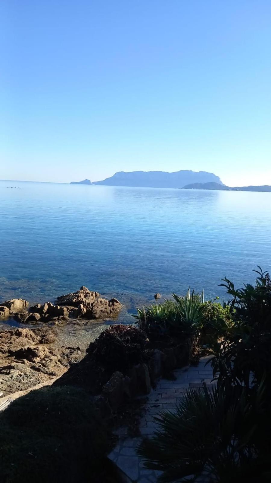 Appartamento Da Wanna Olbia Exteriör bild