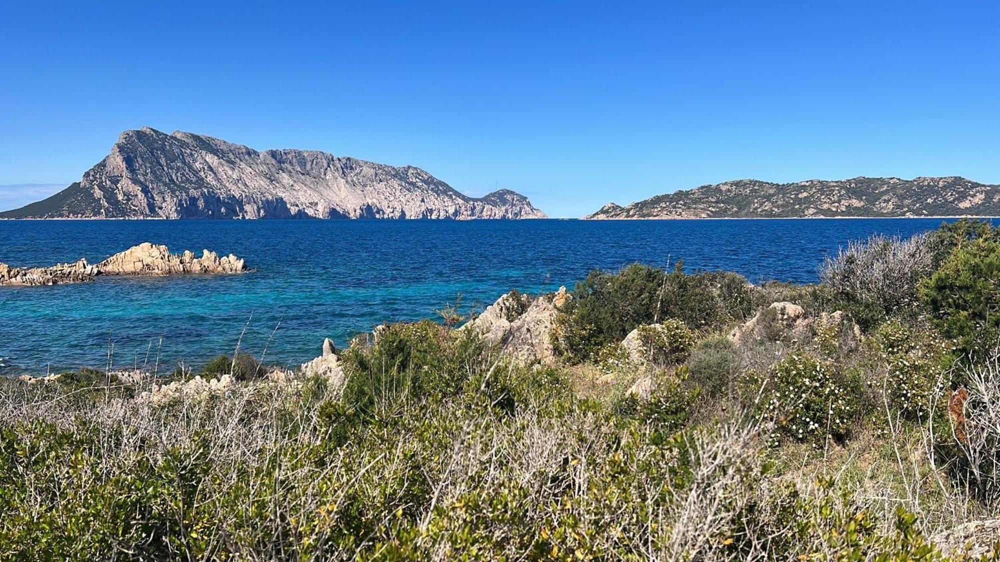 Appartamento Da Wanna Olbia Exteriör bild